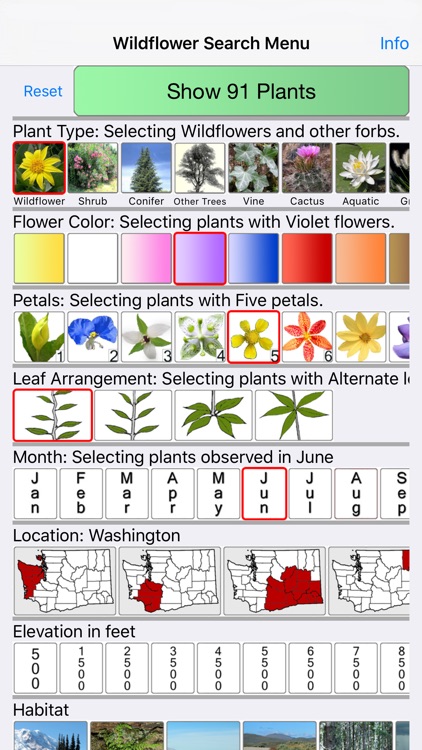 Massachusetts Wildflowers