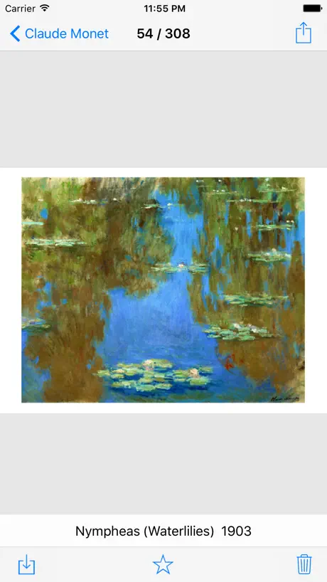Monet 308 Paintings HD