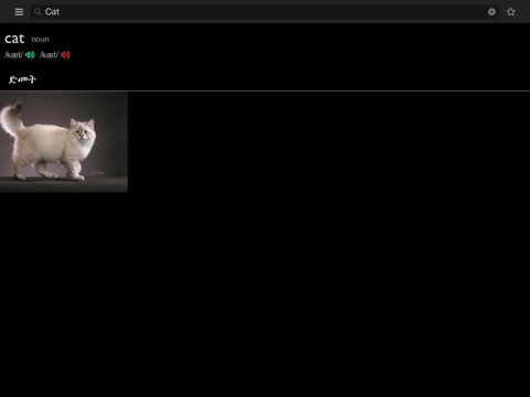 Screenshot #5 pour Amharic-English dictionary