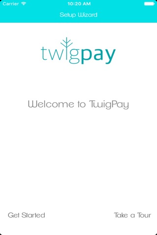 TwigPay screenshot 3