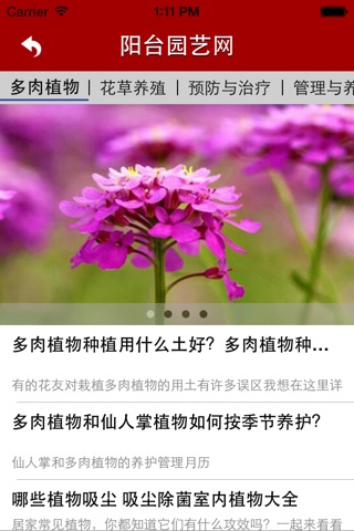 阳台园艺网 screenshot 3