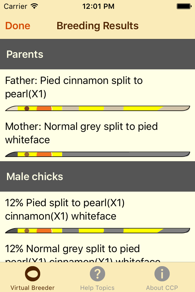 Cockatiel Color Palette