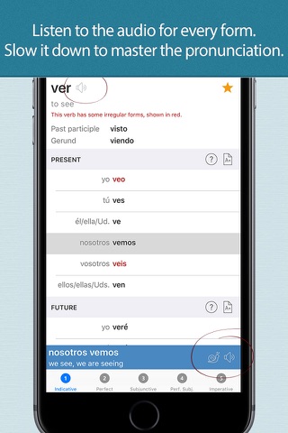 Spanish Verbs - Linguasorb screenshot 2