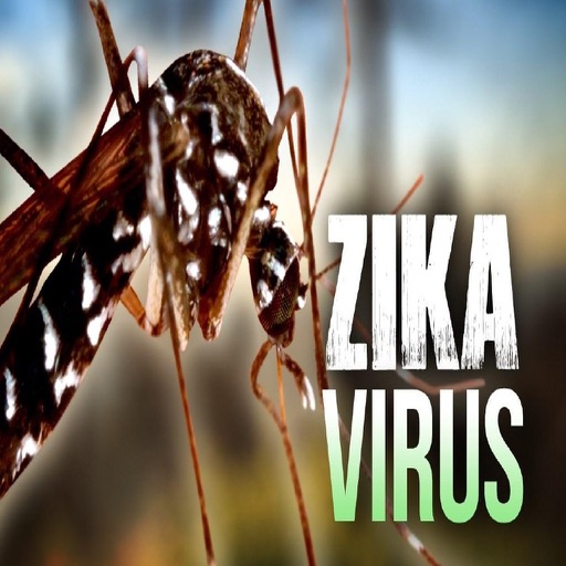 Zika icon