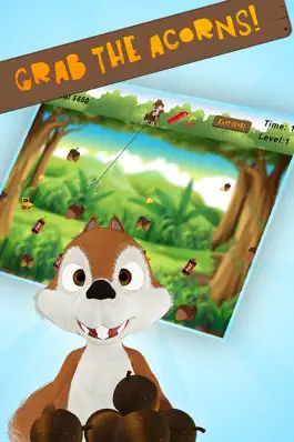 Game screenshot Super Squirrel Nut Grabber mod apk