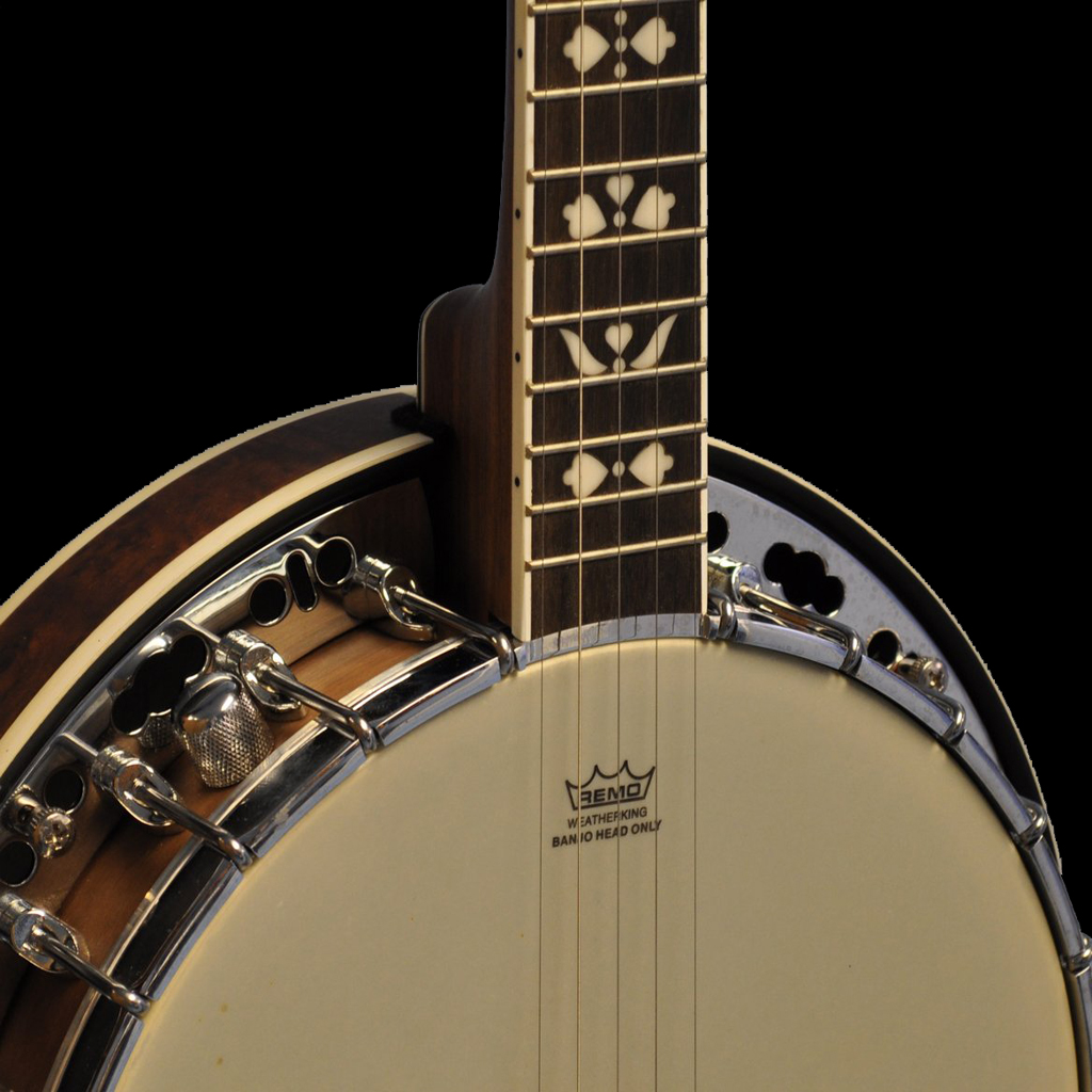 Get Teach Yourself To Play Banjo for iOS, iPhone, iPad Aso Report