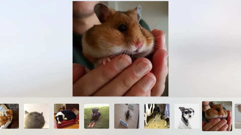 Cuddle - Cute Animal Pictures And Videos iPhone Ekran Görüntüsü 4