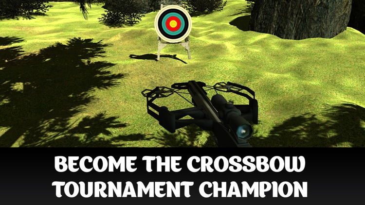 Crossbow Shooting Championship 3D screenshot-3