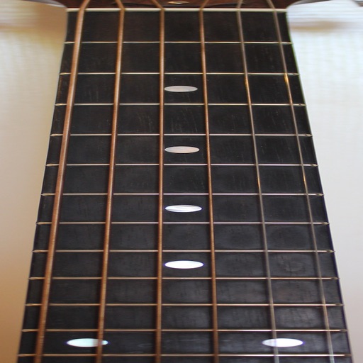 Guitar Fretboard Addict
