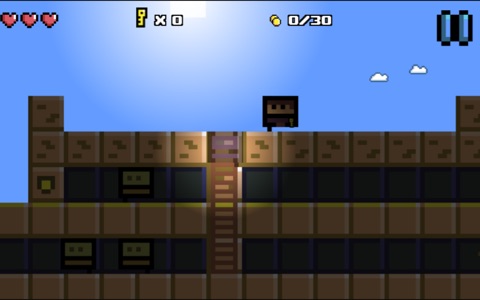 Blocky the Thief screenshot 4