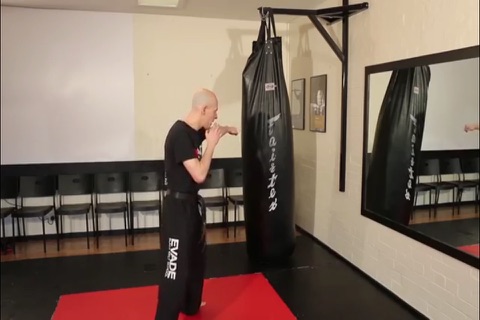 Kickboxing Training screenshot 3