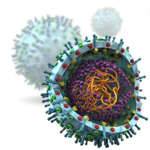 Ebola Virus Info icon