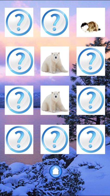 Animals North