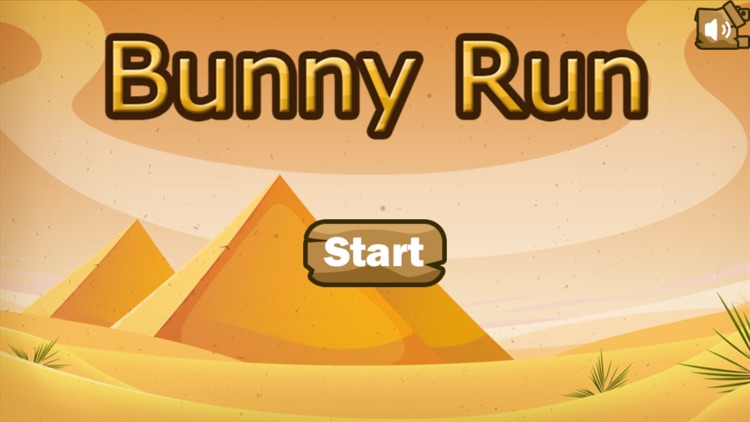 Bunny Run : Desert Escape