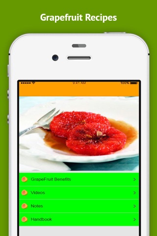 Grapefruit Recipes - Low Calorie Juice Recipes screenshot 2