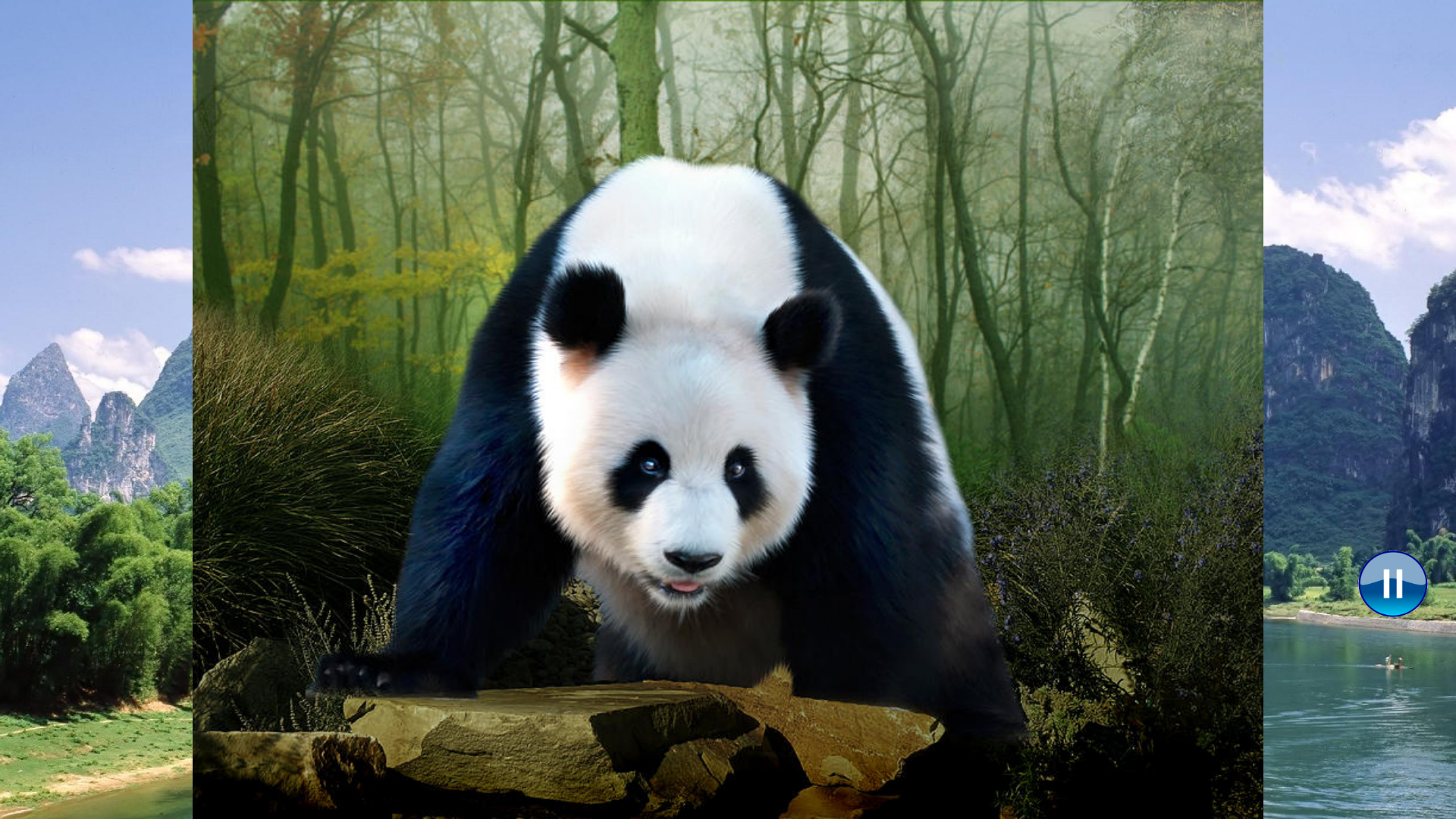 Animals of China