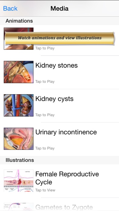 Reproductive and Urinary Anatomy Atlas: Essential Reference for Students and Healthcare Professionalsのおすすめ画像4