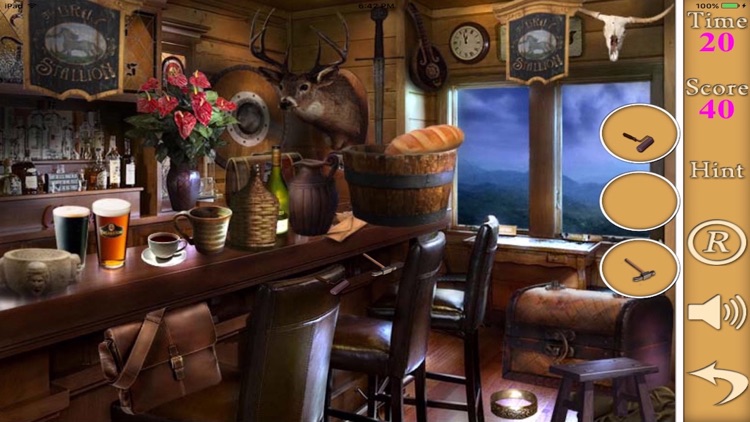Hidden Objects Of A Good And Clean