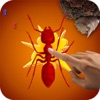 Ant Killer Insect Crush - iPadアプリ