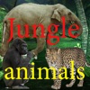 Icon Sounds of Jungle