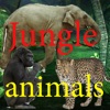 Sounds of Jungle icon