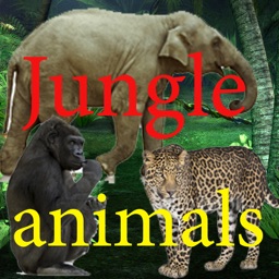 Sounds of Jungle