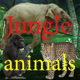 Sounds of Jungle