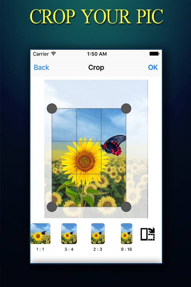 CROP ++ Photo Crop Editor With Instant Crop and Resize Tool screenshot 3