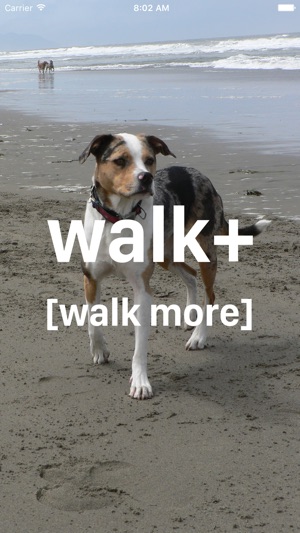 Walk+ [walk more]