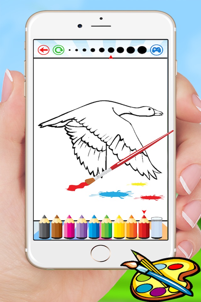 Bird Coloring Book for Kids - Children Drawing free games screenshot 4