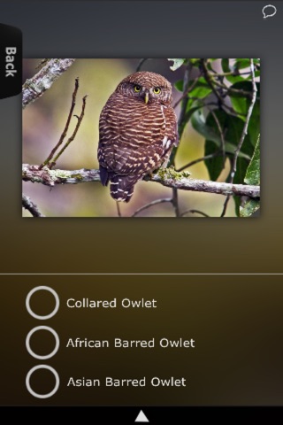 Owls Encyclopedia! screenshot 4