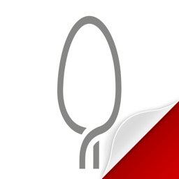 Il Cucchiaio d’Argento