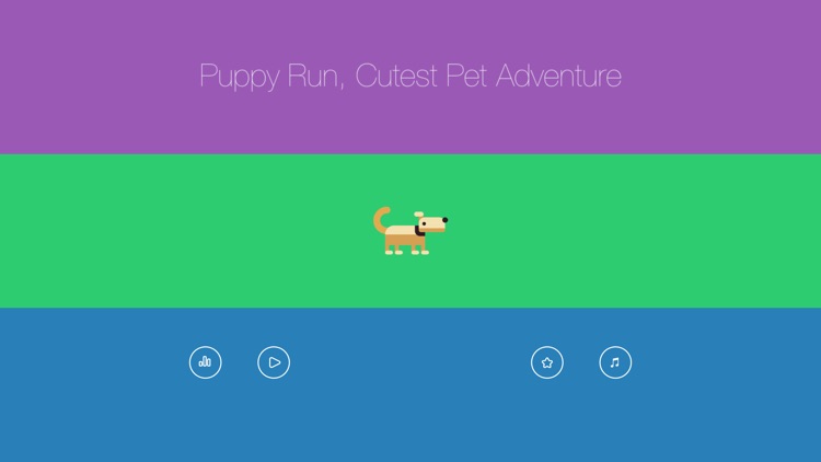 Puppy Run - Cutest Pet Run & Animal Adventures