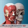 Anatomy and Physiology 3D - Anatomical Model of the Human Body