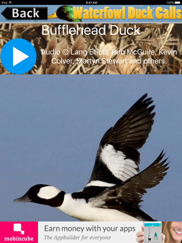 Waterfowl Duck Calls iPad screenshot