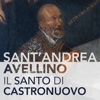 Sant'Andrea Avellino - il Santo di Castronuovo