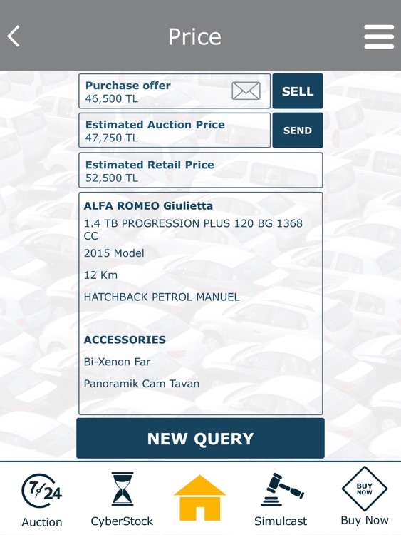 Manheim HD screenshot-4