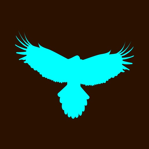 Flappy Flying Falcon Icon