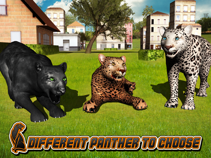 Revenge Of Black Panther 2016