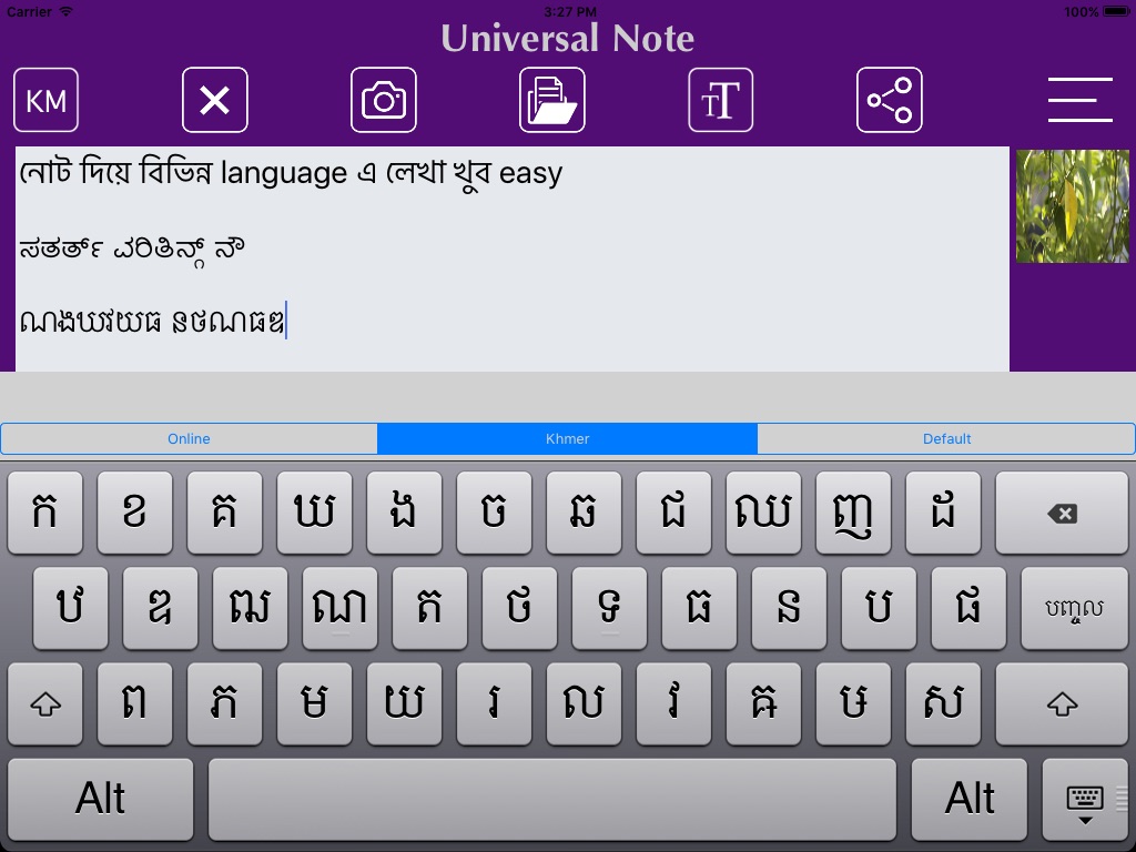 iPad screenshot