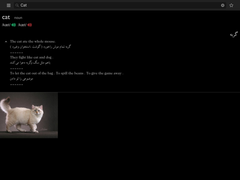 Screenshot #4 pour Farsi Dictionary