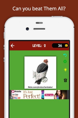 Guess Animal Kingdom Quiz(WordBrain Trivia Game for Guessing Lovers) screenshot 3