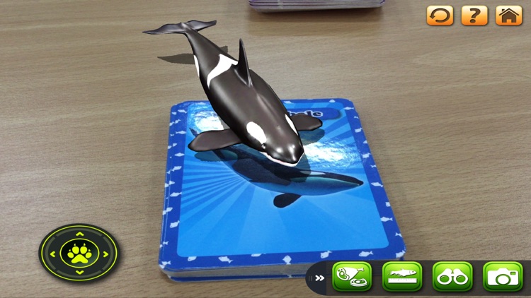 3D LEARNING CARD SEA ANIMALS