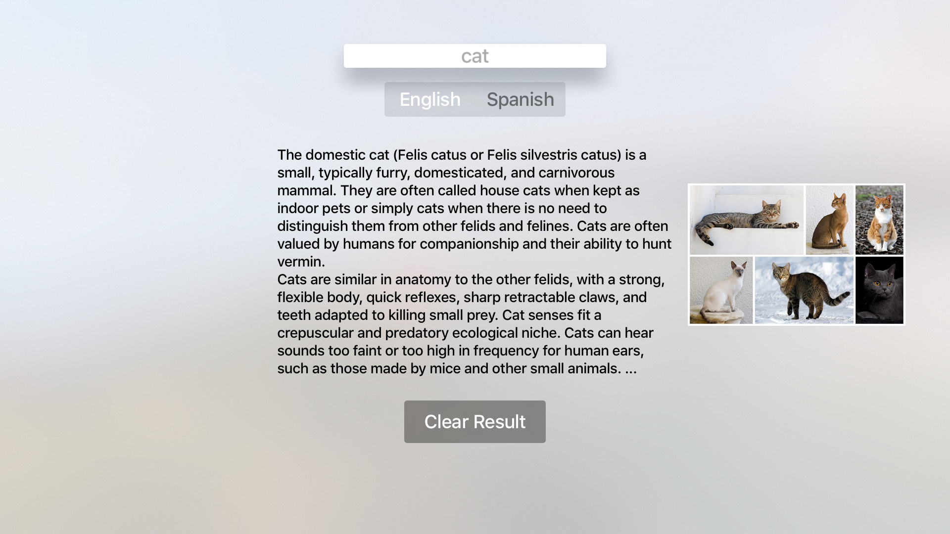 MyWikiTV screenshot 2