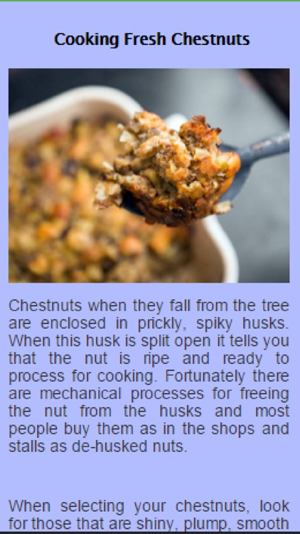 Stuffing Recipes