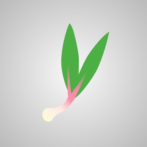 Ramps - Guide to Food