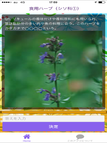 Screenshot #6 pour ハーブ・アロマの暗記　10日で暗記しよう