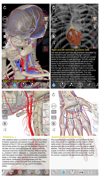 3D Organon Anatomy - Heart, Arteries, and Veins screenshot-0