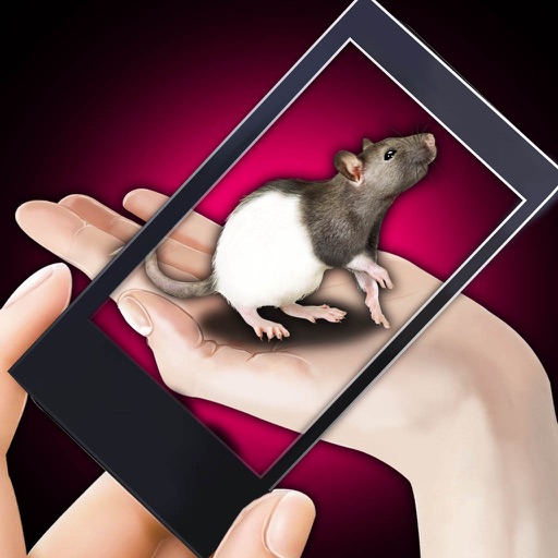 Rat Hand Funny Simulator icon