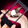 Get Rat Hand Funny Simulator for iOS, iPhone, iPad Aso Report